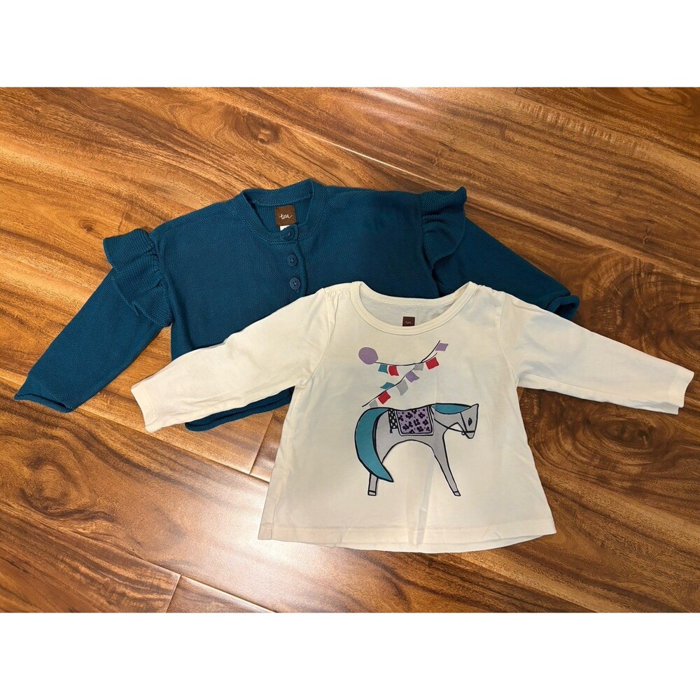 Tea Collection Sweater and Tee Set, size 9-12 months